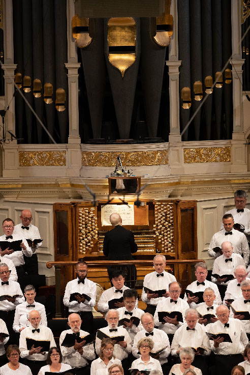 Bass with the Organ